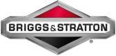 Briggs and Stratton